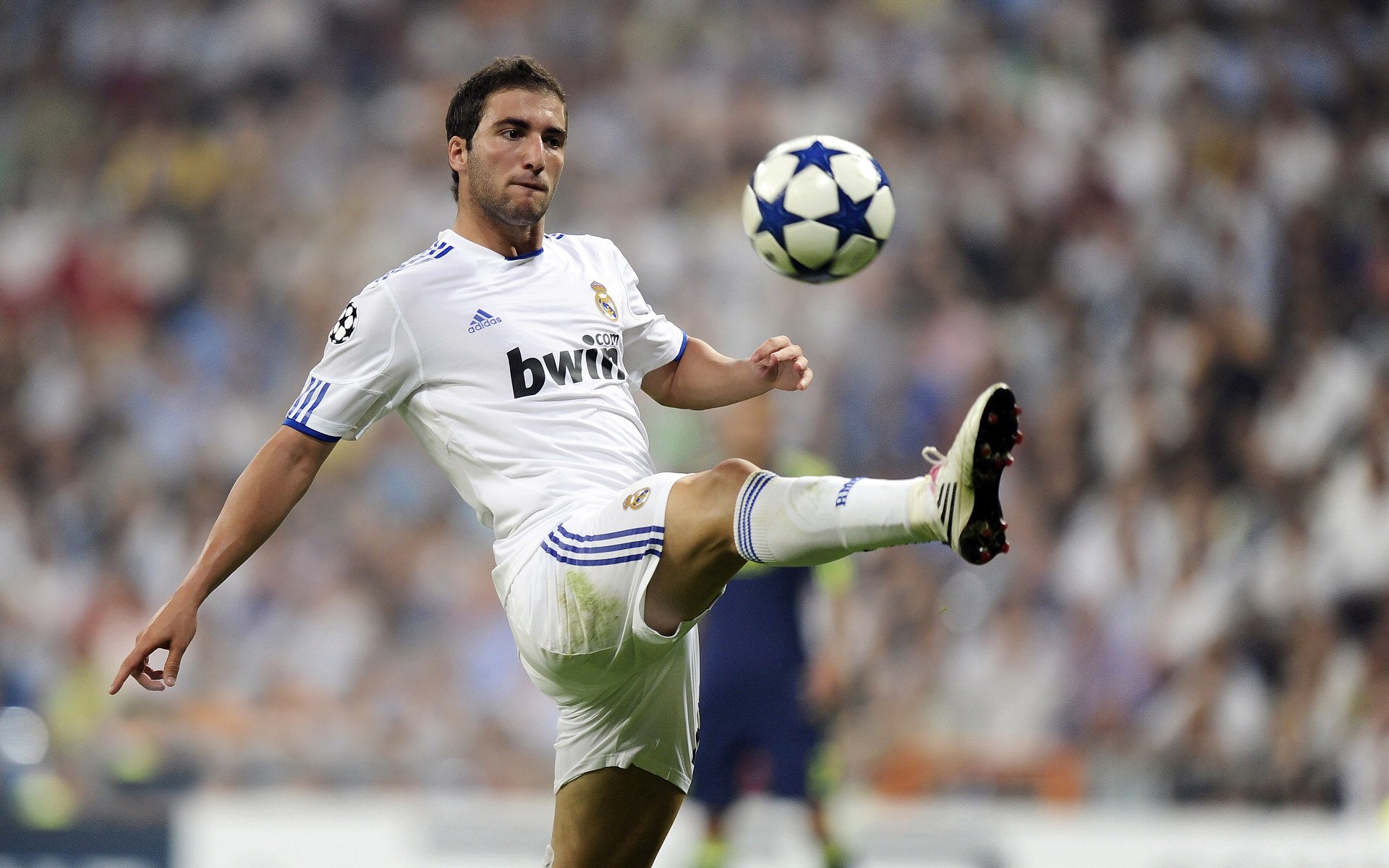 mk体育官方网站-球员在欧洲杯赛场上被誉为“绿茵新星”：新星崛起的背后故事